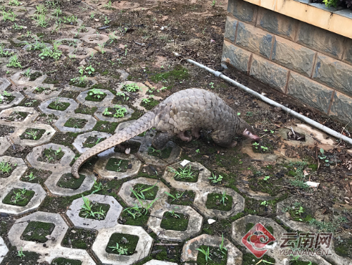 000c29d1d6171c88c8563a