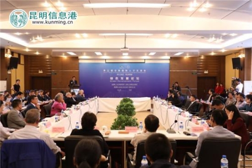 第三届云南国际人才交流会绿色发展论坛现场 供图