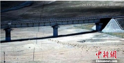 CqgNOlsoZNuAF58sAAAAAAAAAAA507.550x412