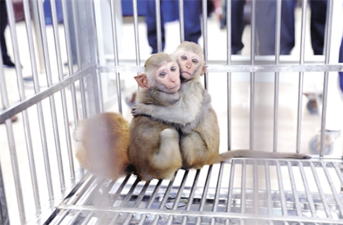 9T1I4T~@QUD~6QQVFCIU}W5