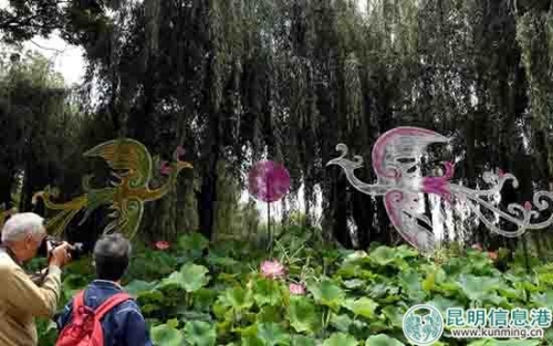 双凤朝阳荷花造型组。昆明日报记者杨艳辉摄 双凤朝阳荷花造型组。昆明日报记者杨艳辉摄