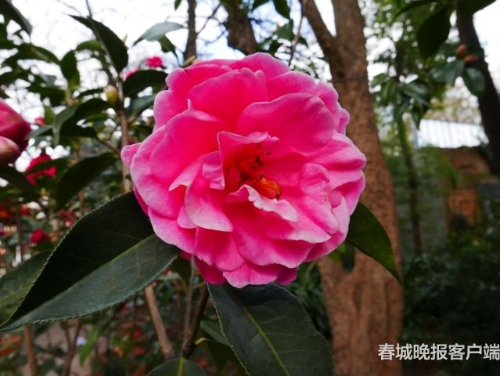 20180709074923Y6D8LQ