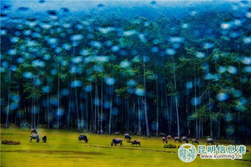 李华海:窗外风景 李华海:窗外风景