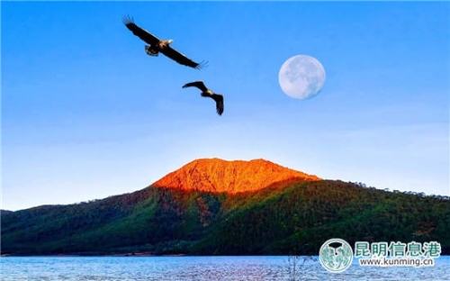 杨士斌:日月光辉耀天池 白尾海雕恋金山 杨士斌:日月光辉耀天池 白尾海雕恋金山