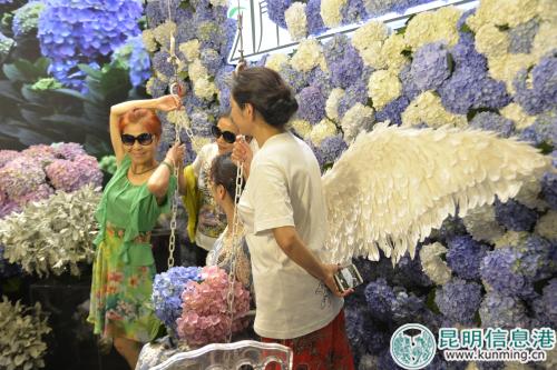 绣球花展位前牌照的观众。记者劳学丽 摄