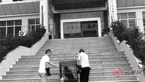 00300023939_a9937042