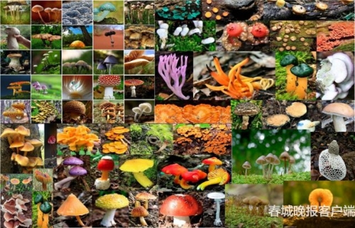 20180718194113S7I51M