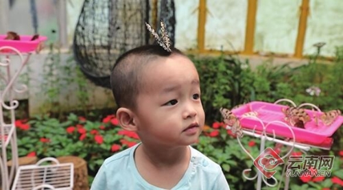 00300028531_a0ebbaf6 00300028531_a0ebbaf6