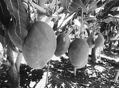 QQ截图20180806092501 QQ截图20180806092501