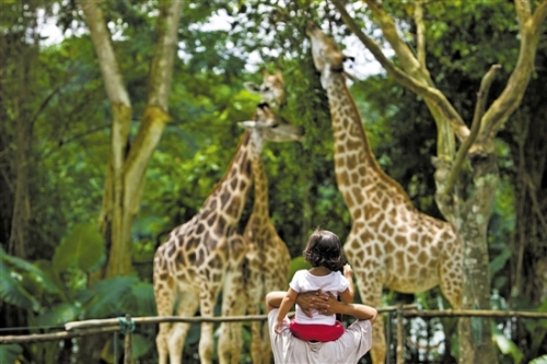 7d53ffae-ee86-4c09-99af-9a429aa180ba