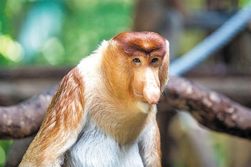 428aa92a-7ec7-48b0-97be-ea62829ff5dc