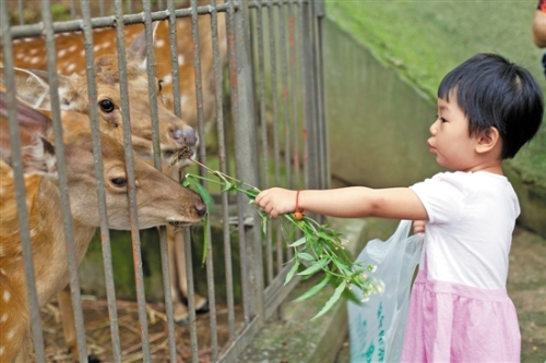 355cfb0c-0404-4199-a9a0-2ecd1548c318