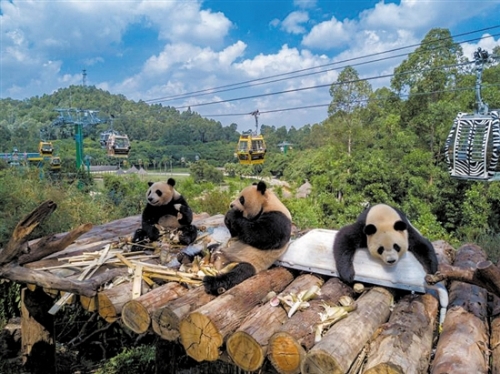 d61e503b-1355-44a2-b483-0b4885ba6e75