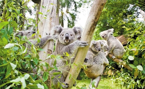 ebf6a596-af13-4140-ae93-05a1b0c75016