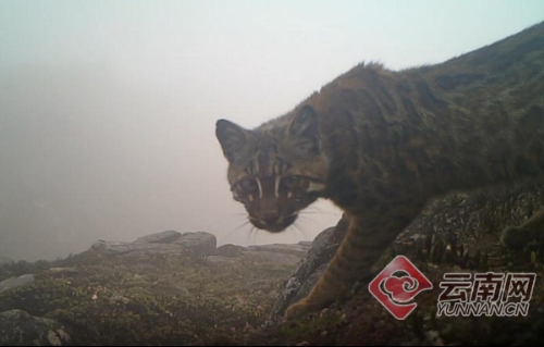 00300066365_e495f517 00300066365_e495f517