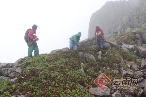 00300066371_a1851704 00300066371_a1851704