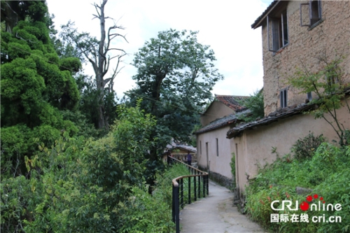 21170409lfkr 21170409lfkr