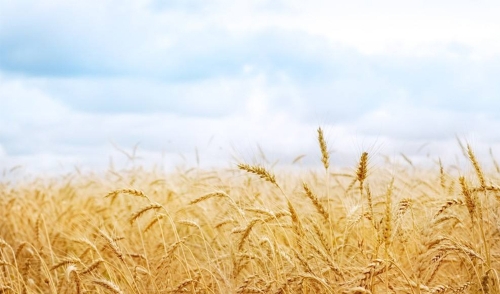 24164131qy6c 24164131qy6c