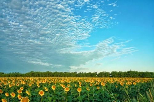 W020180821566418450320