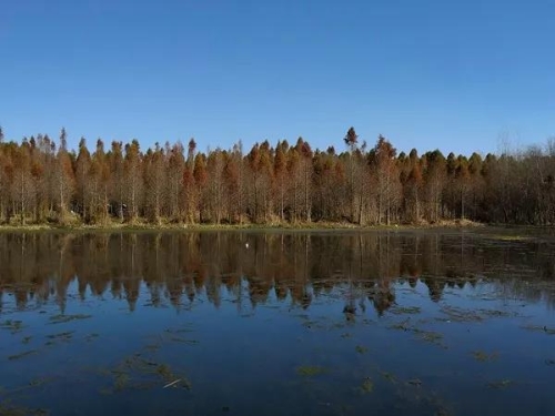 微信图片_20180827151559 微信图片_20180827151559