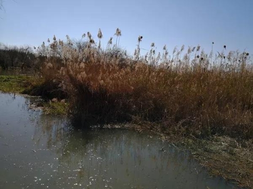 微信图片_20180827151606 微信图片_20180827151606