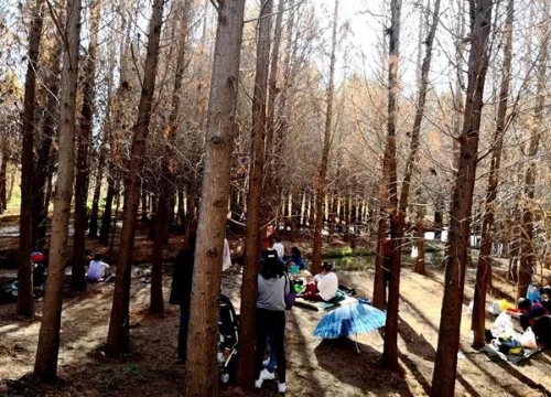 微信图片_20180827151610 微信图片_20180827151610