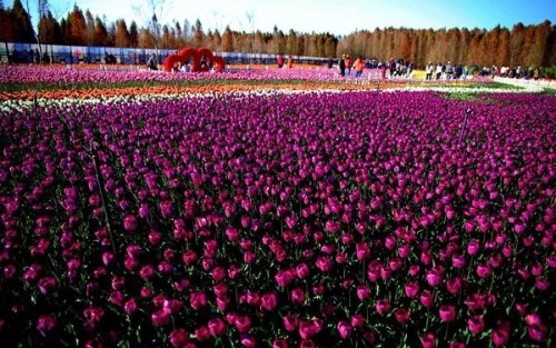 微信图片_20180827151613 微信图片_20180827151613