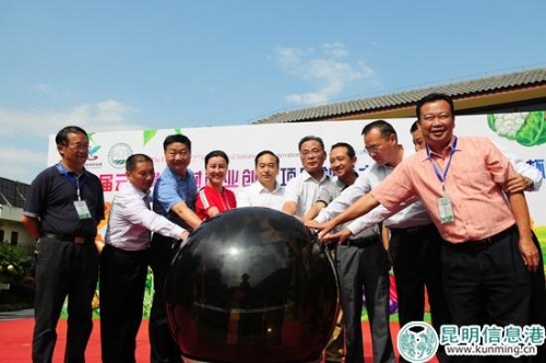 出席活动的领导共同为启动仪式亮灯 出席活动的领导共同为启动仪式亮灯