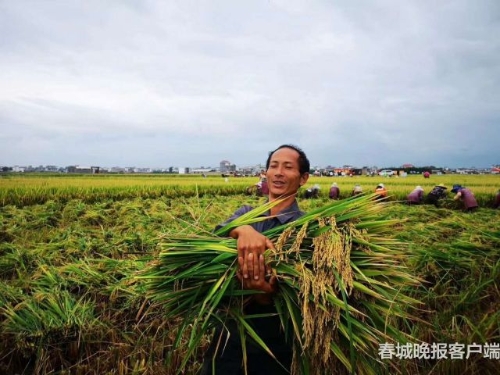 20180903073550B3MG6S