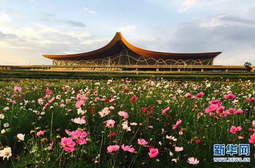 137433824_15357077951041n 137433824_15357077951041n