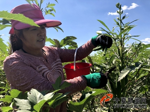 W020180908368483302645