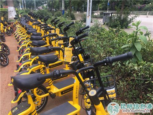 图片3:松果电单车不设多人座位,仅支持单人骑车。 图片3:松果电单车不设多人座位,仅支持单人骑车。