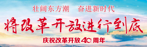 点击进入专题 点击进入专题