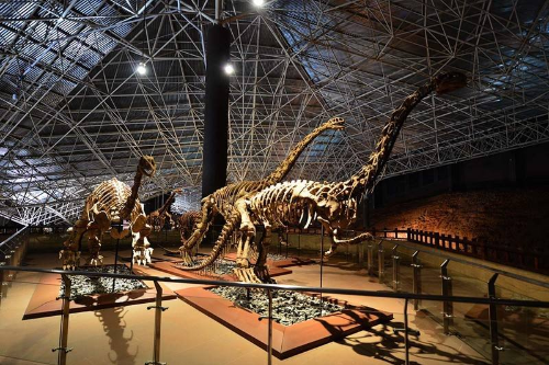 00300113075_ab99c1d3