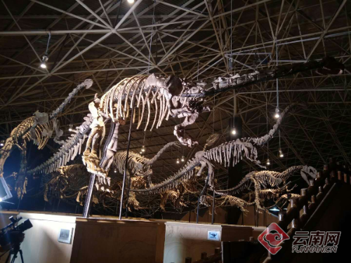 00300113076_fb9ff931