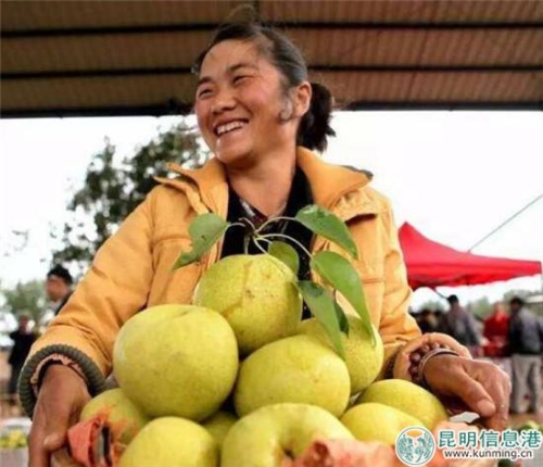 丰收的喜悦 图片来自网络