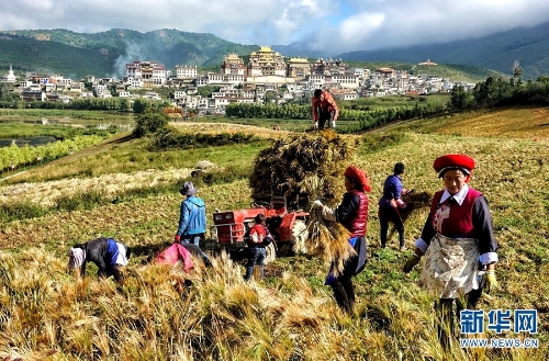 137479551_15374086511611n 137479551_15374086511611n