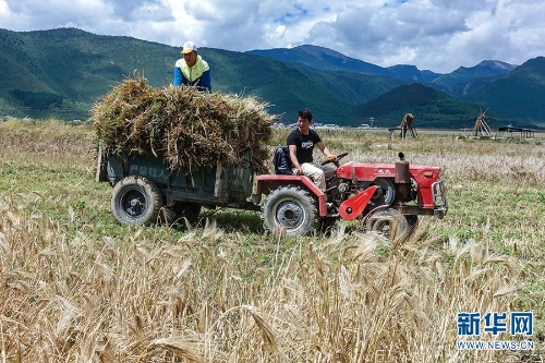 137479551_15374086513371n 137479551_15374086513371n