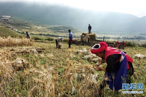 137479551_15374086514201n 137479551_15374086514201n