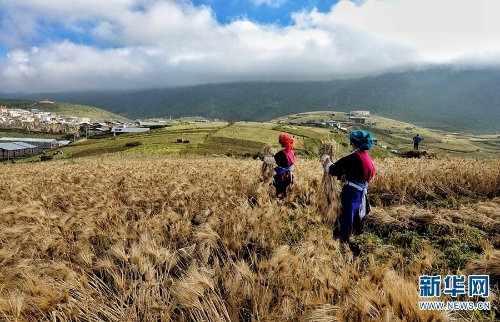 137479551_15374086515231n 137479551_15374086515231n