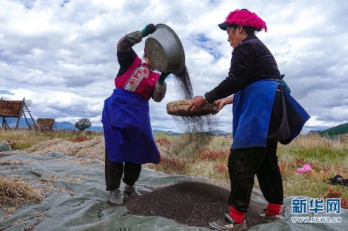 137479551_15374086516051n 137479551_15374086516051n