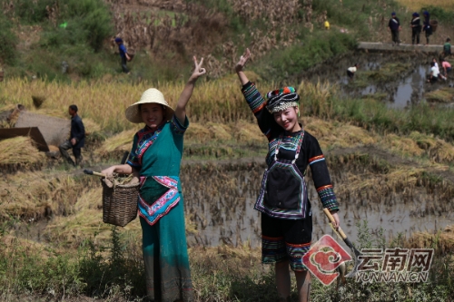 00300121425_249be304