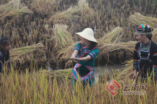 00300121433_da53c3ed