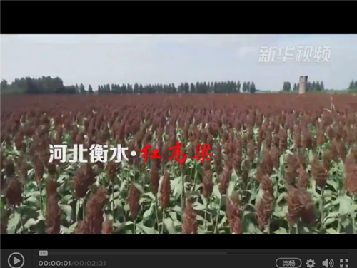 QQ图片20180924102524