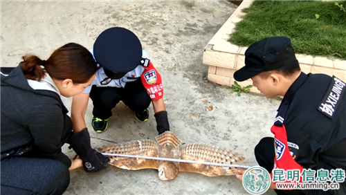 微信图片_20180926181127