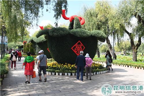 历时一年打造的大菊花篮。昆明日报记者杨艳辉摄 历时一年打造的大菊花篮。昆明日报记者杨艳辉摄