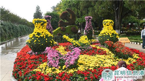 菊花造景。昆明日报记者杨艳辉摄 菊花造景。昆明日报记者杨艳辉摄