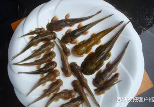 20180928080246LGJOL9