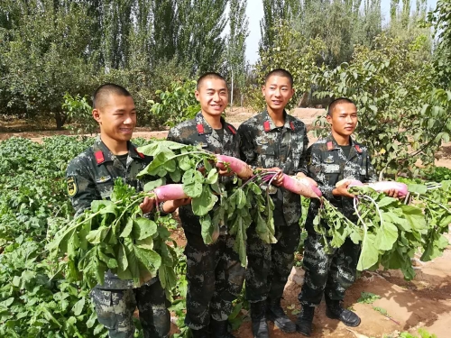 1538216735115103.jpg image005.jpg