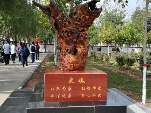 1538216803377106.jpg image011.jpg